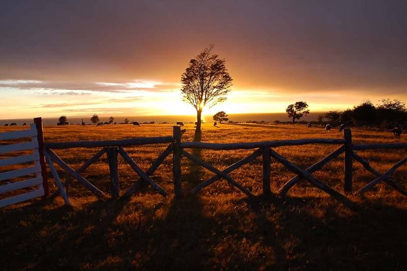 perfect welcome in Patogonia: Sunrise on the magellan street the first morning