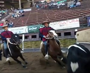 Holiday Rent at the Chilean, National Rodeo Championship. Holiday Rent at the Chilean, National Rodeo Championship.