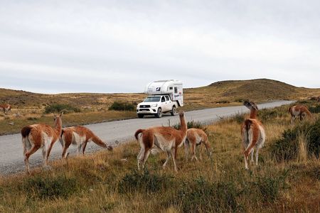 Unsere großen Nationalparks in Patagonien